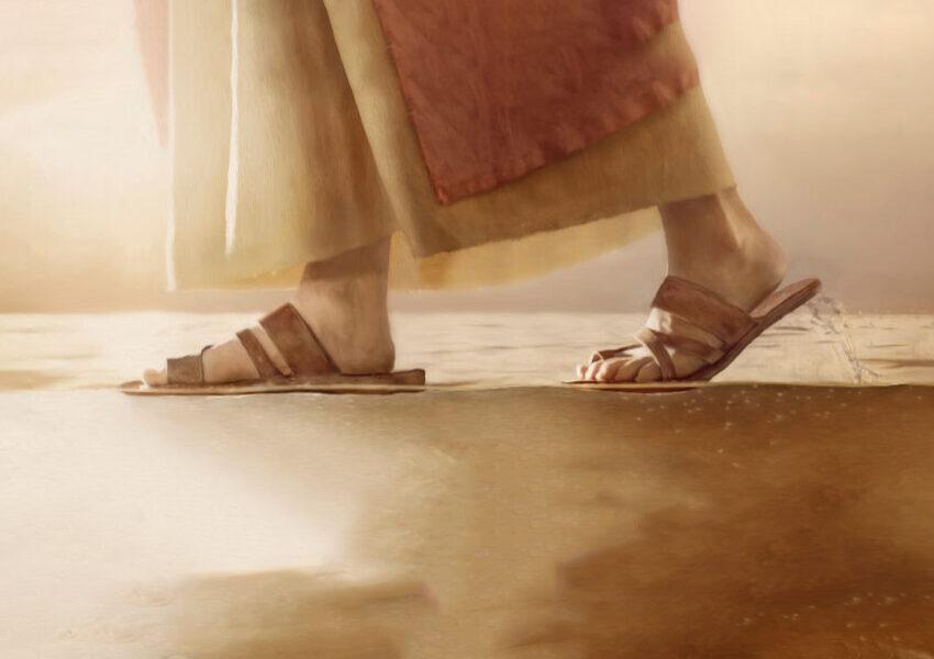 sui passi di Gesù in terra santa