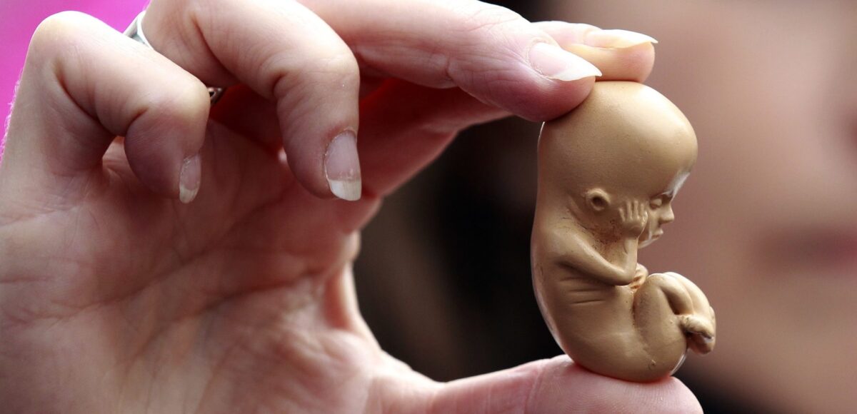 embrioni umani